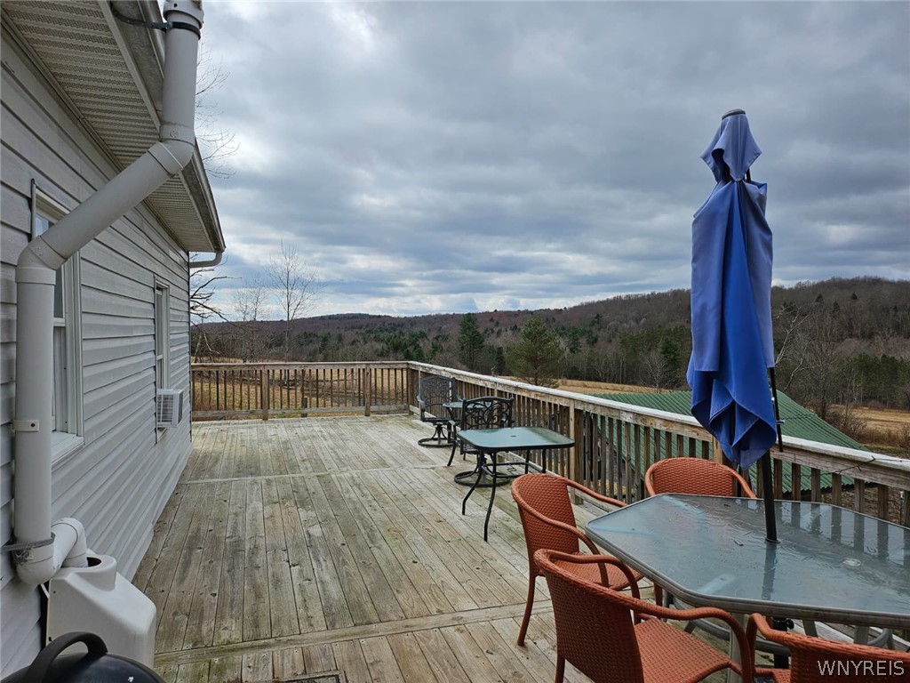 795 Tiona Road Maine, NY 13811 - Photo 23 of 44