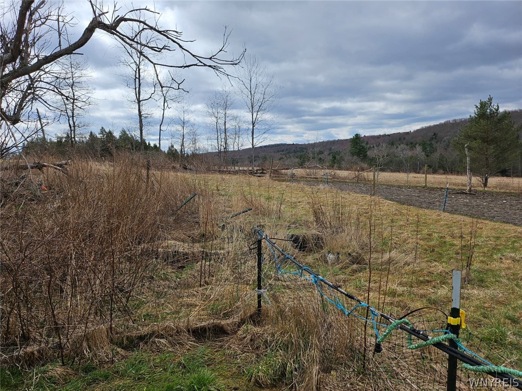 795 Tiona Road Maine, NY 13811 - Photo 24 of 44