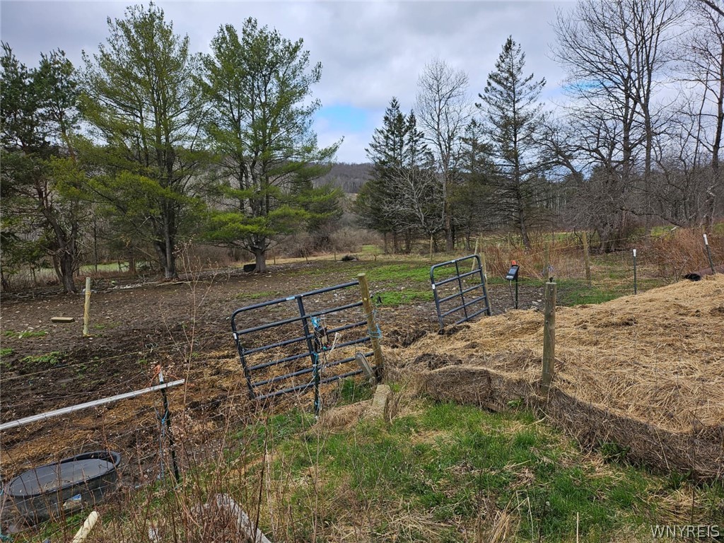 795 Tiona Road Maine, NY 13811 - Photo 32 of 44