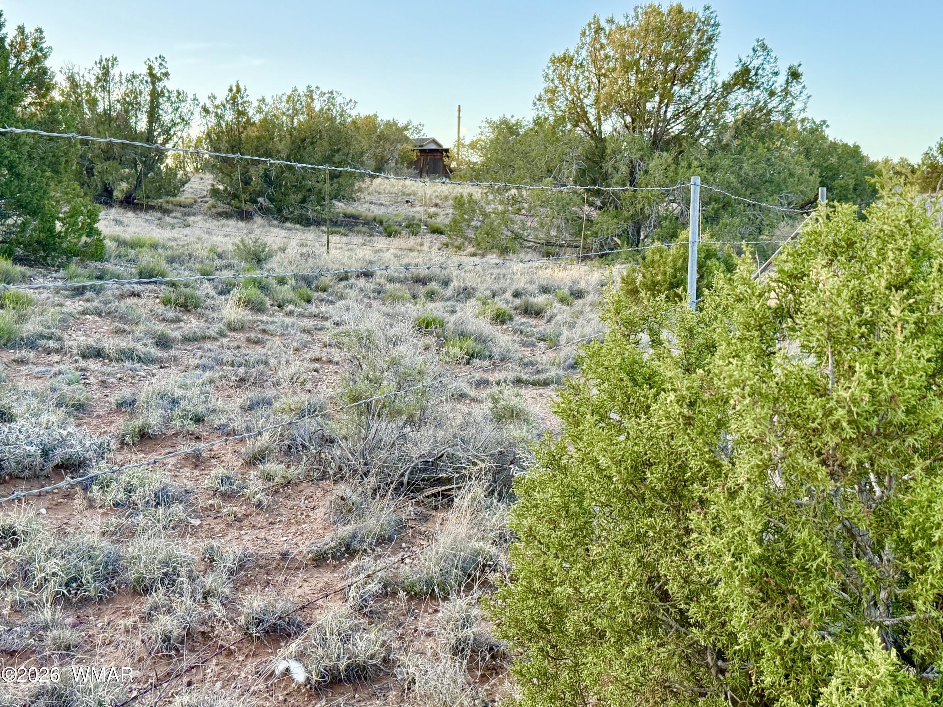 4428 Colt Road Snowflake, AZ 85937 - Photo 13 of 22 IMG_6151