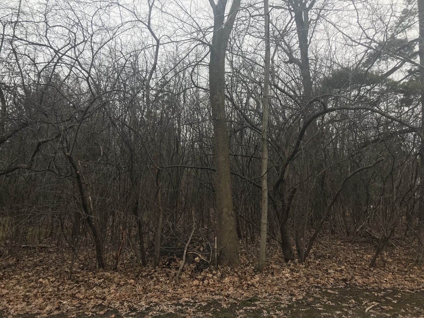 0 North Washington Road Lake Forest, IL 60045 - Photo 1 of 1