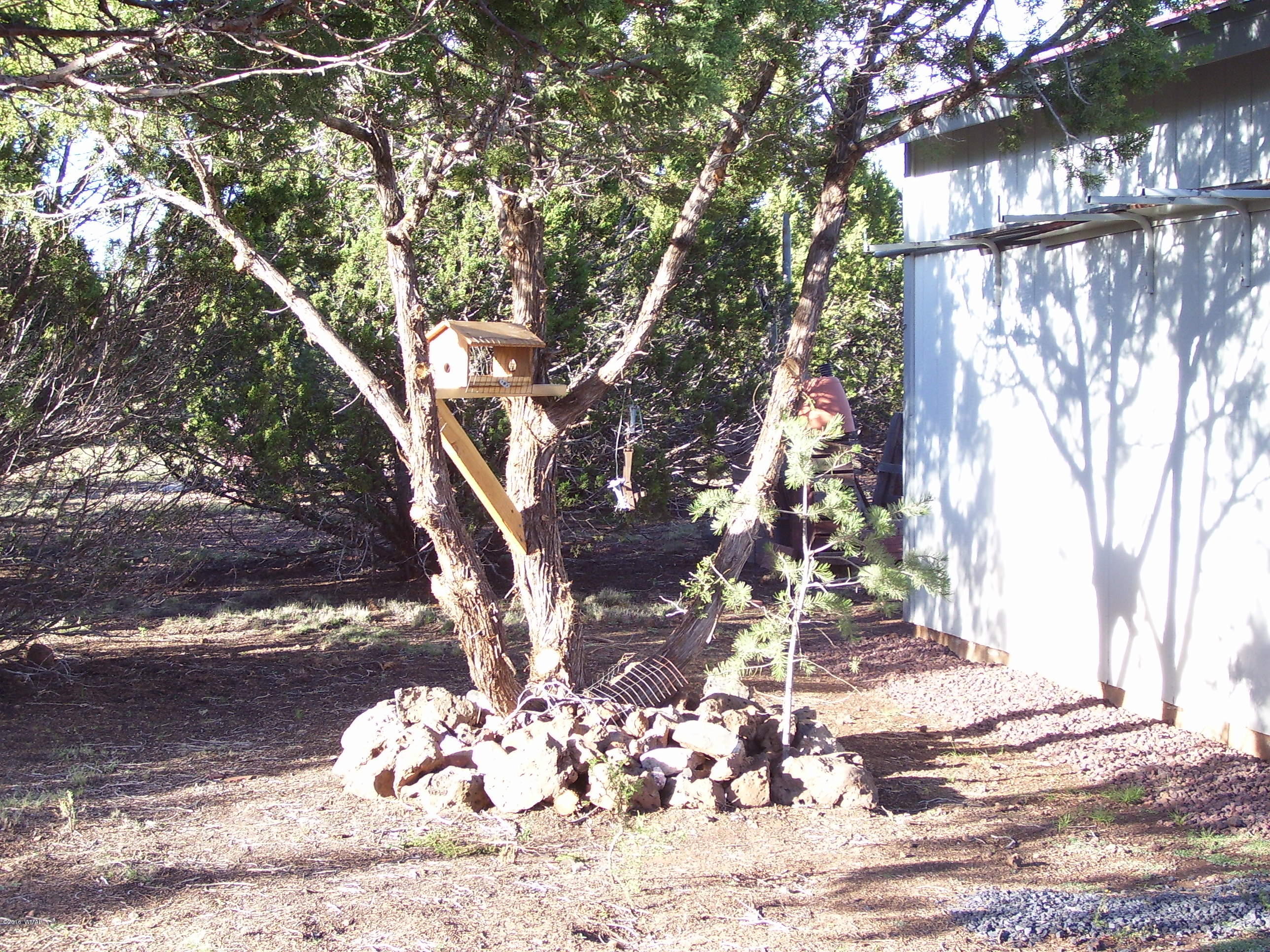 3120 North Apache County Road, Unit 45 Show Low, AZ 85901 - Photo 13 of 29