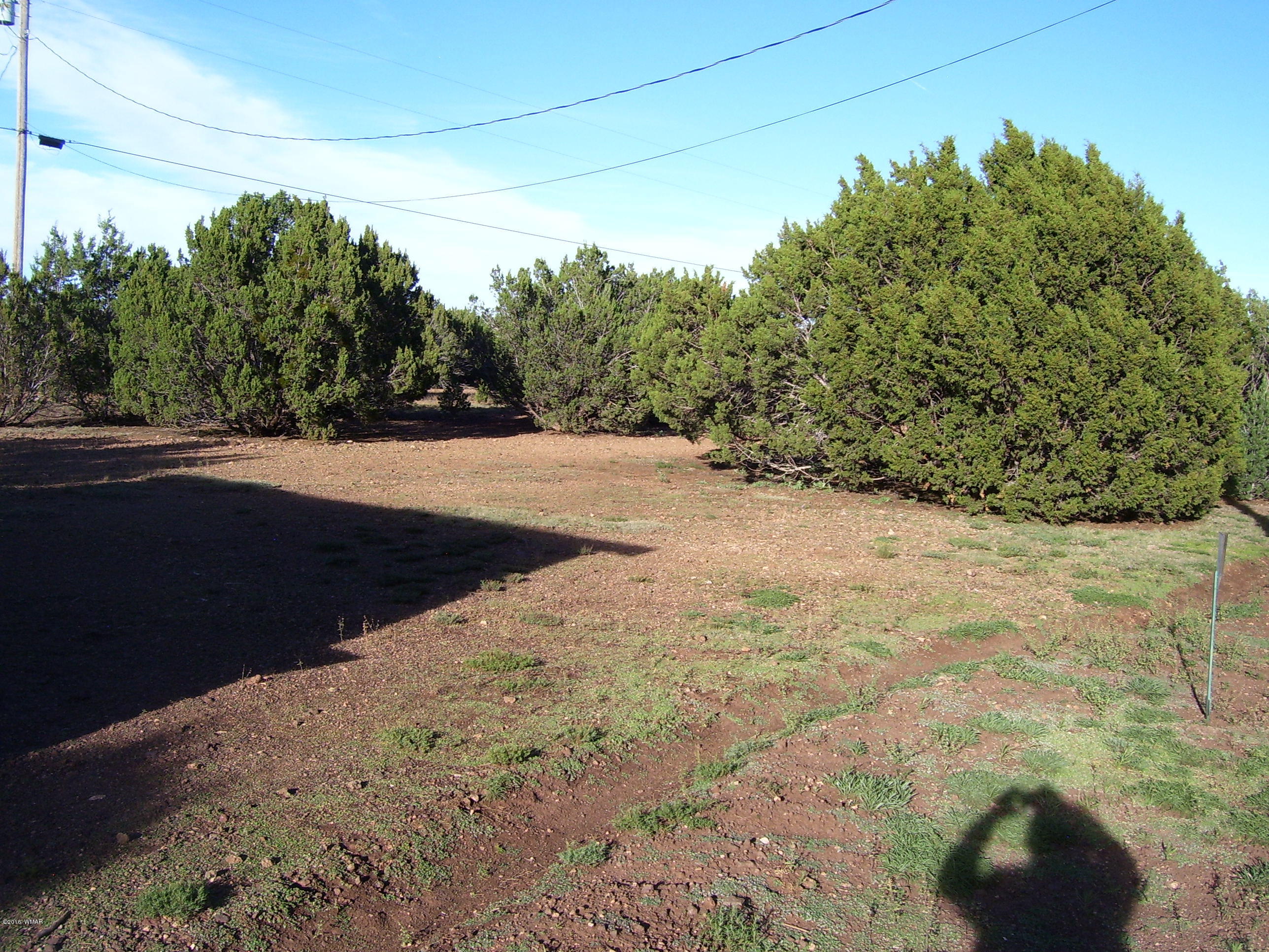 3120 North Apache County Road, Unit 45 Show Low, AZ 85901 - Photo 22 of 29