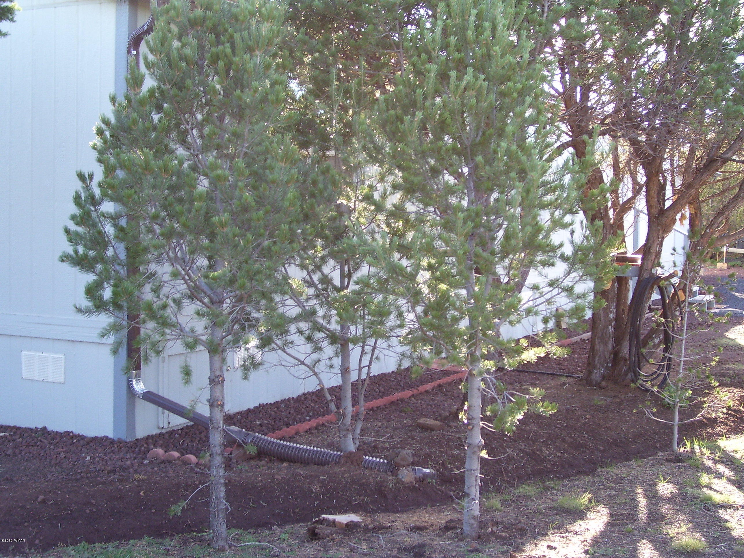 3120 North Apache County Road, Unit 45 Show Low, AZ 85901 - Photo 27 of 29