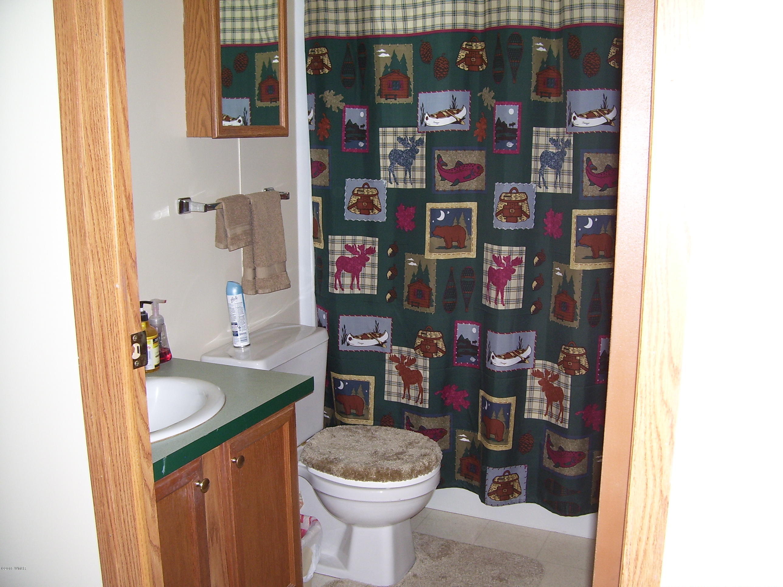 3120 North Apache County Road, Unit 45 Show Low, AZ 85901 - Photo 9 of 29