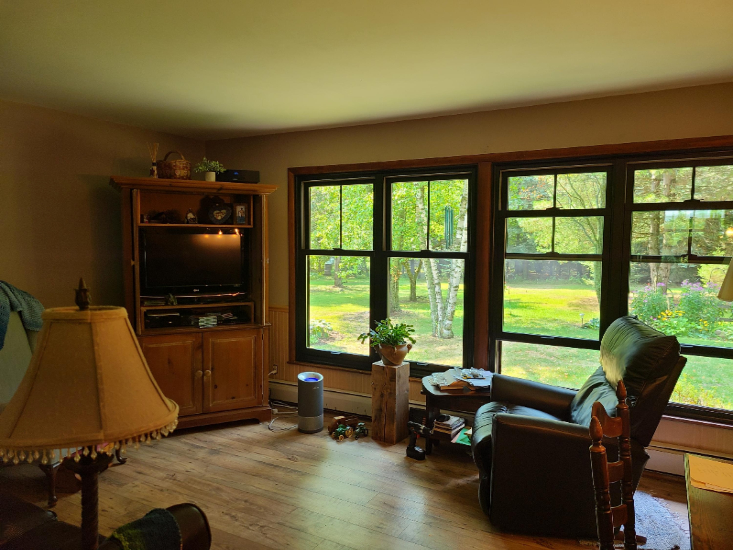 7905 North Peoples Road Edmore, MI 48829 - Photo 5 of 10 20200826_142543