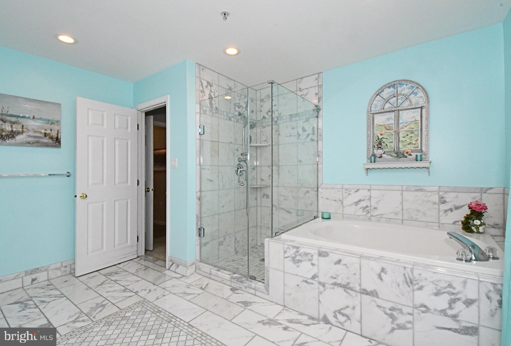 394 Anderson Road King of Prussia, PA 19406 - Photo 23 of 48 walk in shower and sep soaking tub