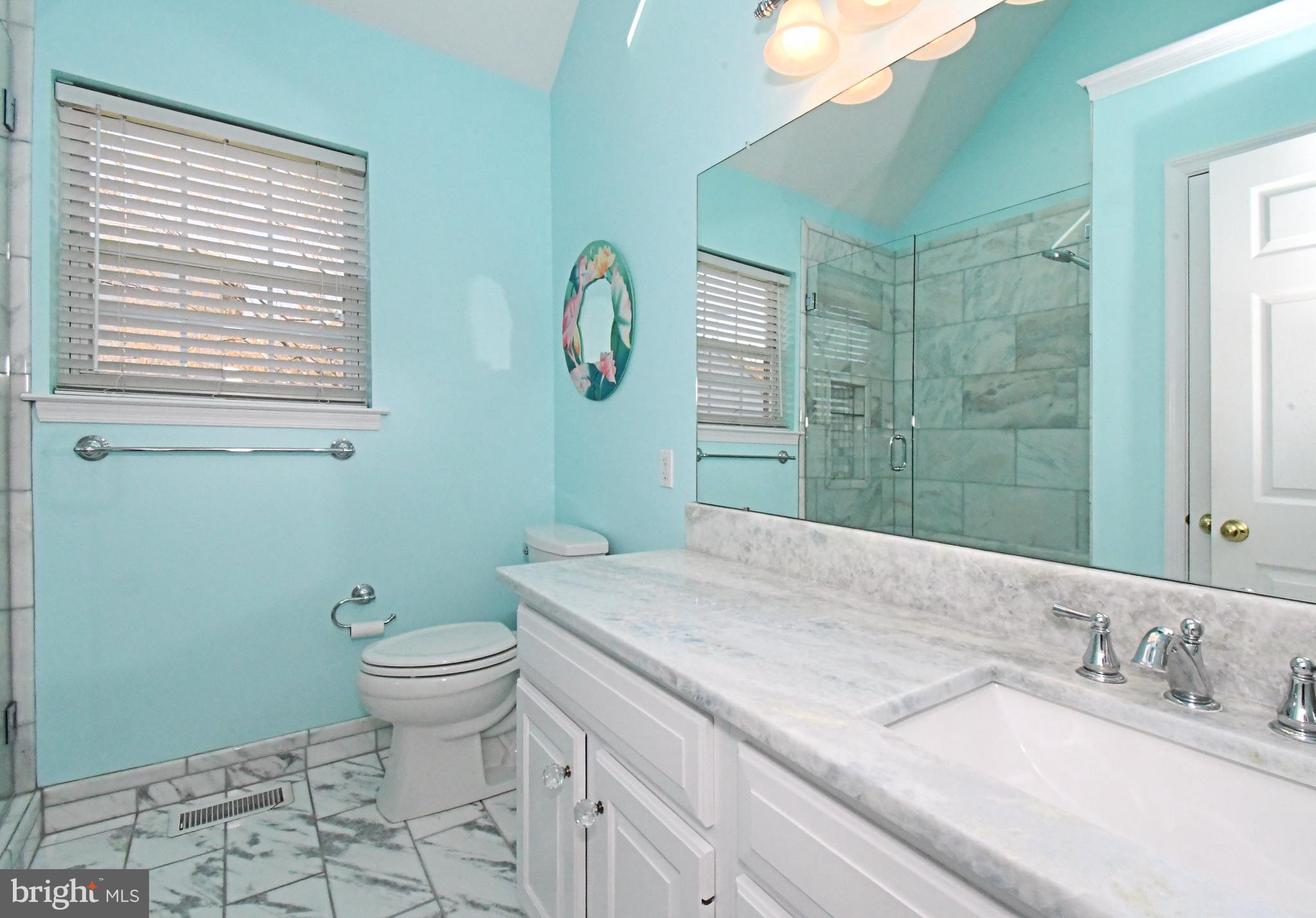 394 Anderson Road King of Prussia, PA 19406 - Photo 32 of 48 Hall upgraded bath with skylight