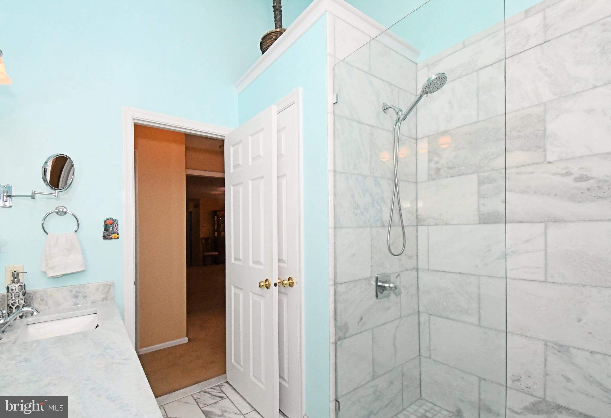 394 Anderson Road King of Prussia, PA 19406 - Photo 33 of 48 spacious walk in shower