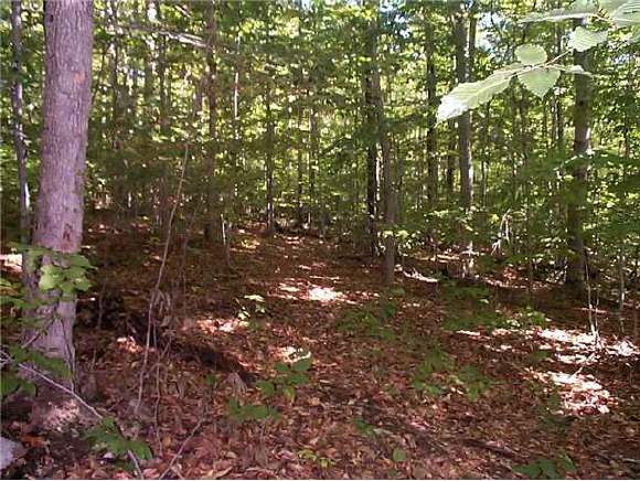 0 South Mountain Road Weathersfield, VT 05030 - Photo 1 of 1