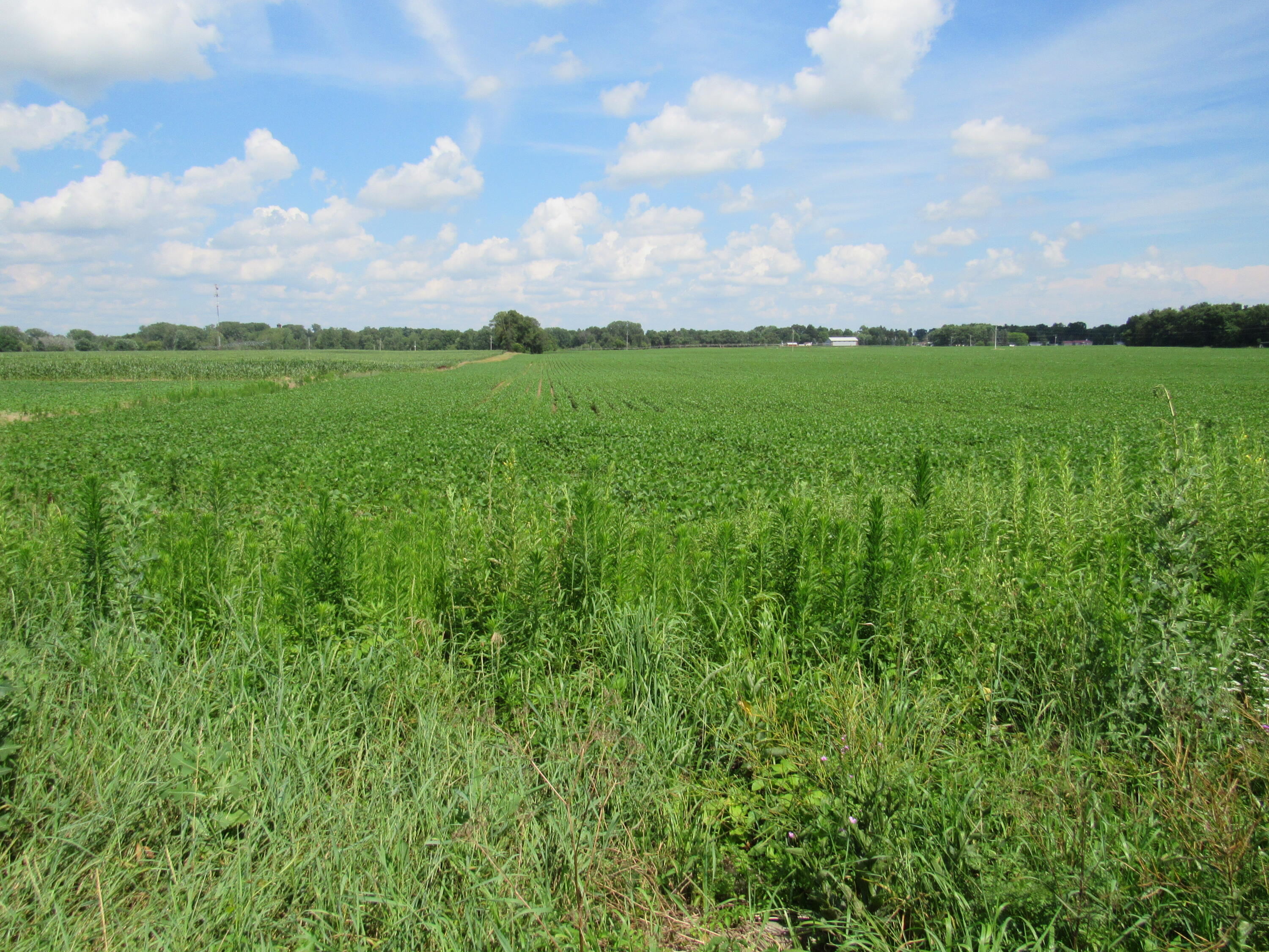 Farrand Road Colon, MI 49040 - Photo 10 of 10 IMG_3767