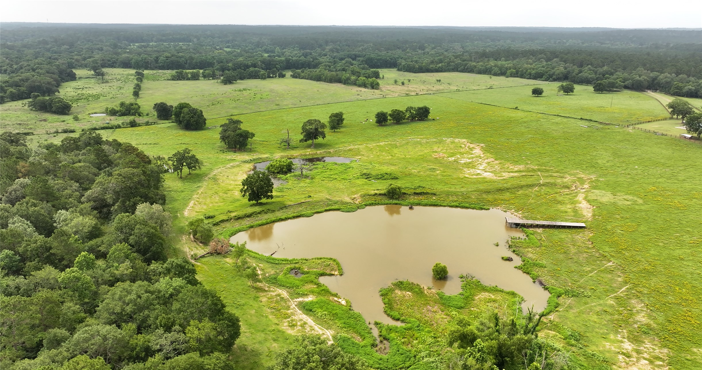 44 Bucking Bull Road Huntsville, TX 77340 - Photo 27 of 50 Gallery Image 27