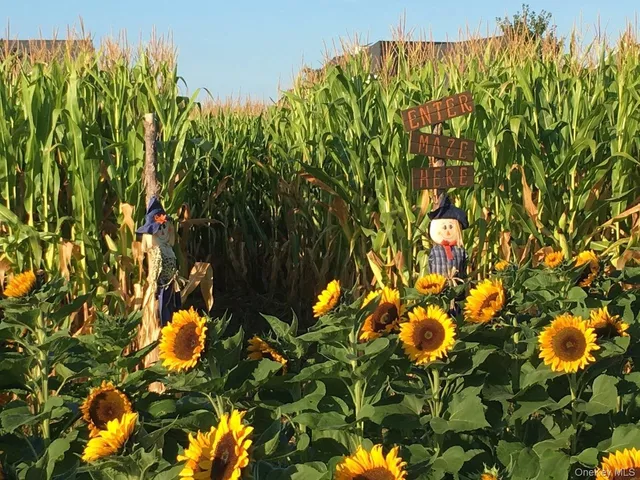 an aerial view of house with yard swimming pool and outdoor seating