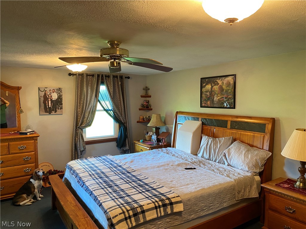 3459 Maple Road Jefferson, OH 44047 - Photo 26 of 30