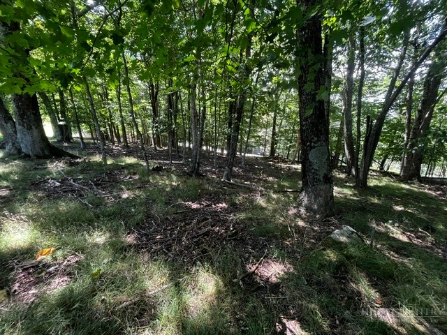 208 Pine Ridge Road Beech Mountain, NC 28604 - Photo 7 of 10 Gallery Image 7