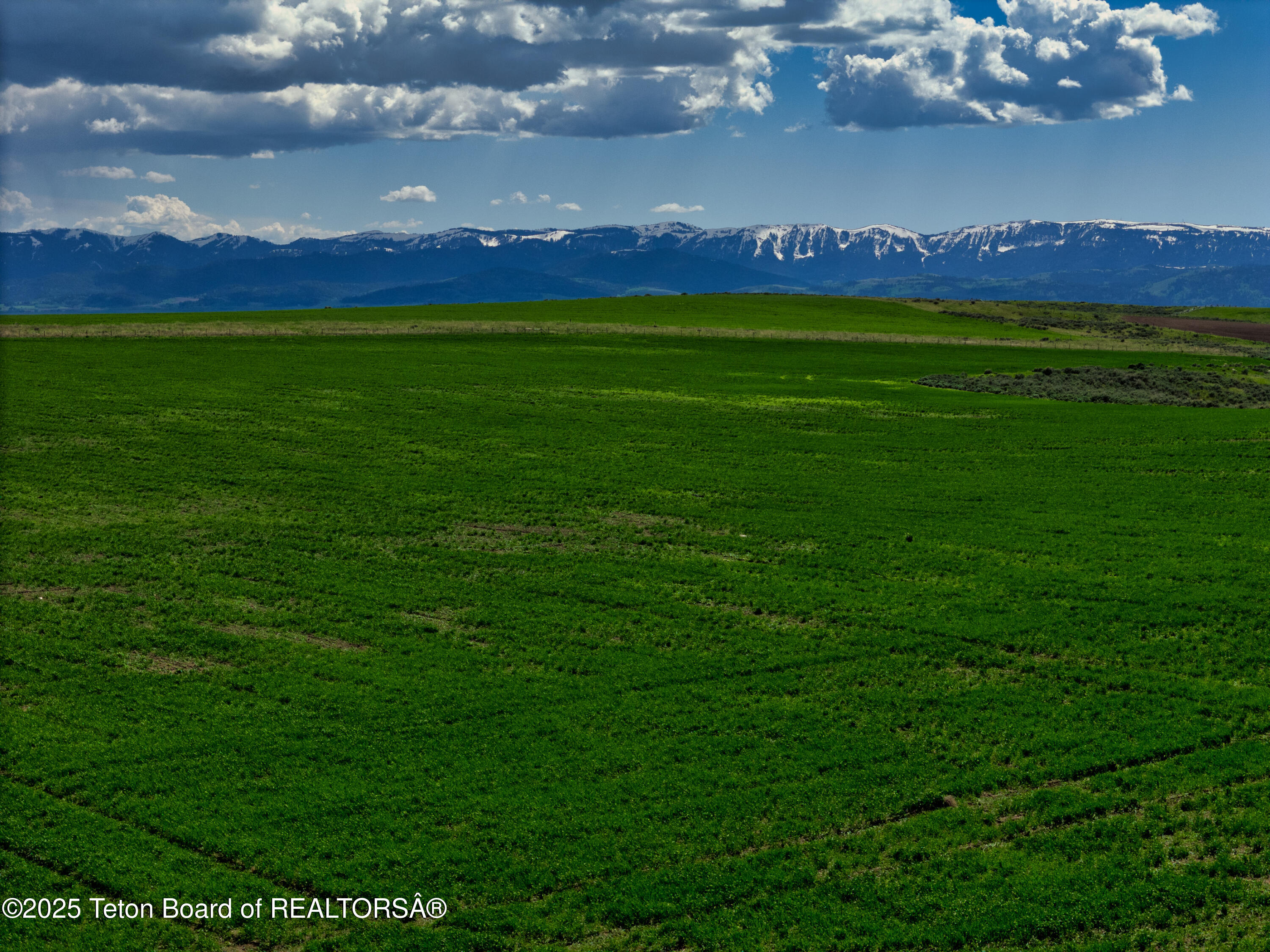 2255 Moose Path Way Tetonia, ID 83452 - Photo 22 of 30 13