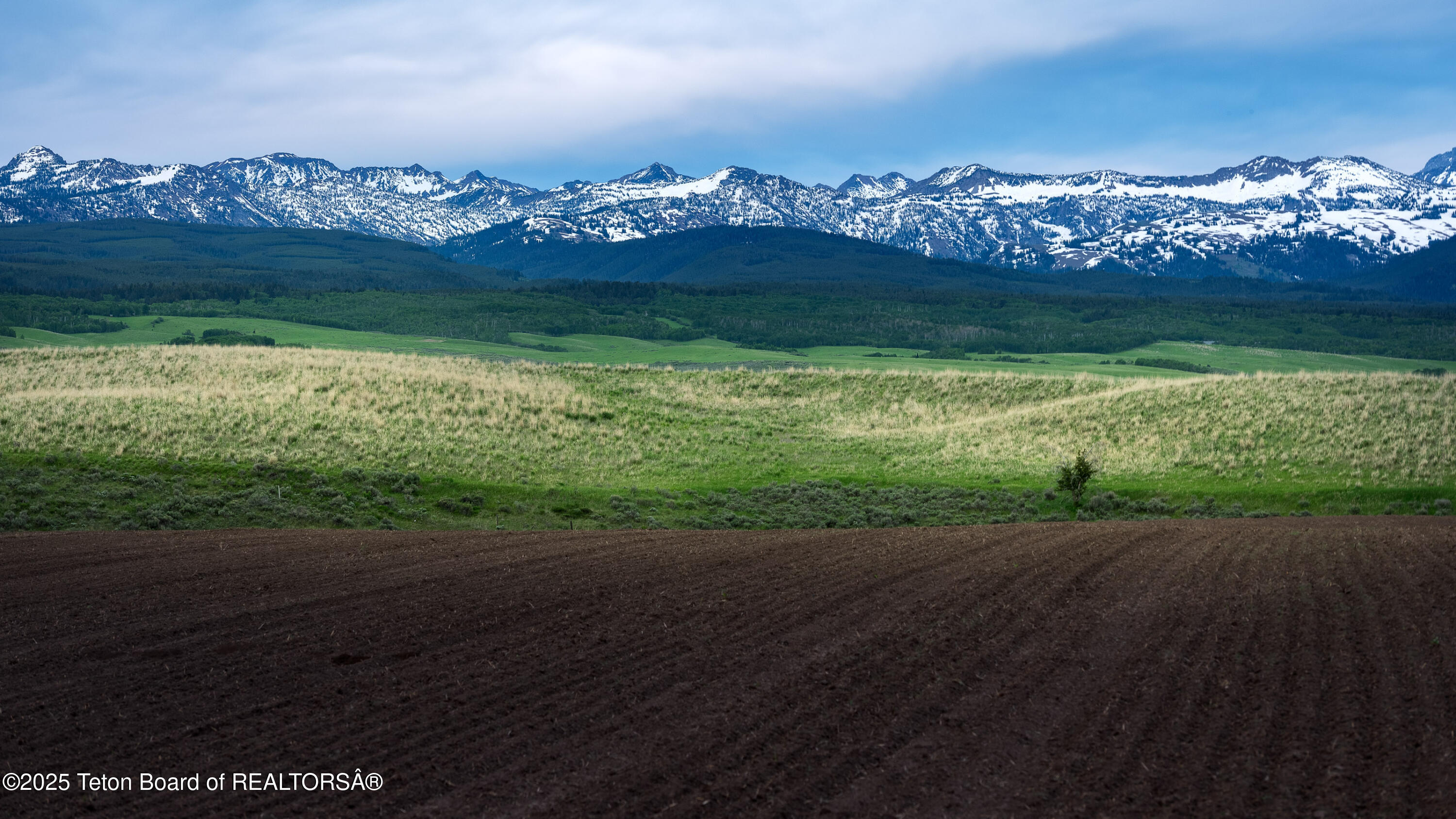 2255 Moose Path Way Tetonia, ID 83452 - Photo 8 of 30 2 (4)