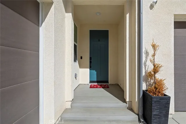 a view of a room with wooden floor and potted plant