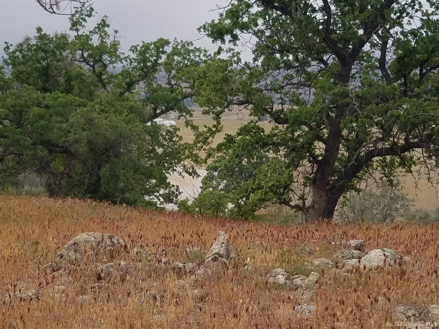 0 Paradise Valley Road Caliente, CA 93518 - Photo 18 of 26 Gallery Image 18