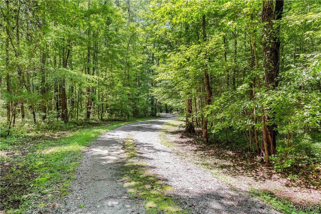 4672 Bell Road Powhatan, VA 23139 - Photo 8 of 34 Private drive