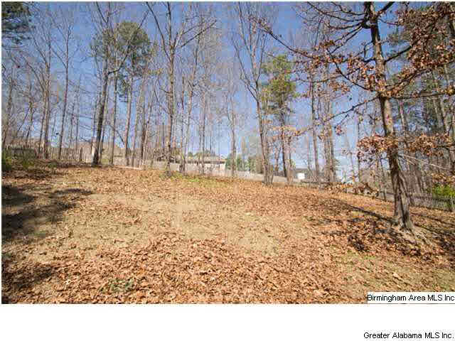 109 Grande View Circle Alabaster, AL 35114 - Photo 4 of 28