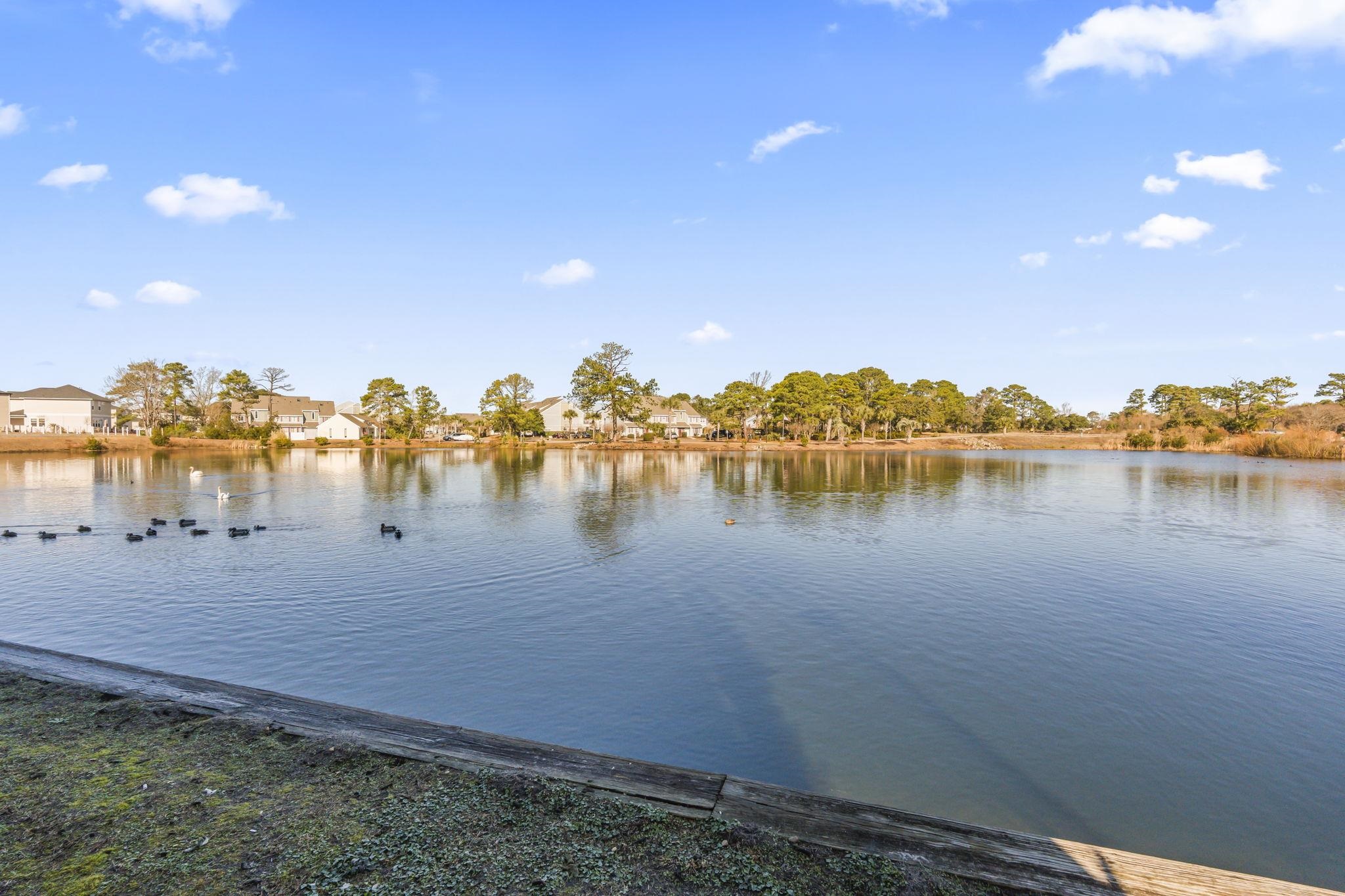 206 Double Eagle Drive, Unit A1 Surfside Beach, SC 29575 - Photo 32 of 40