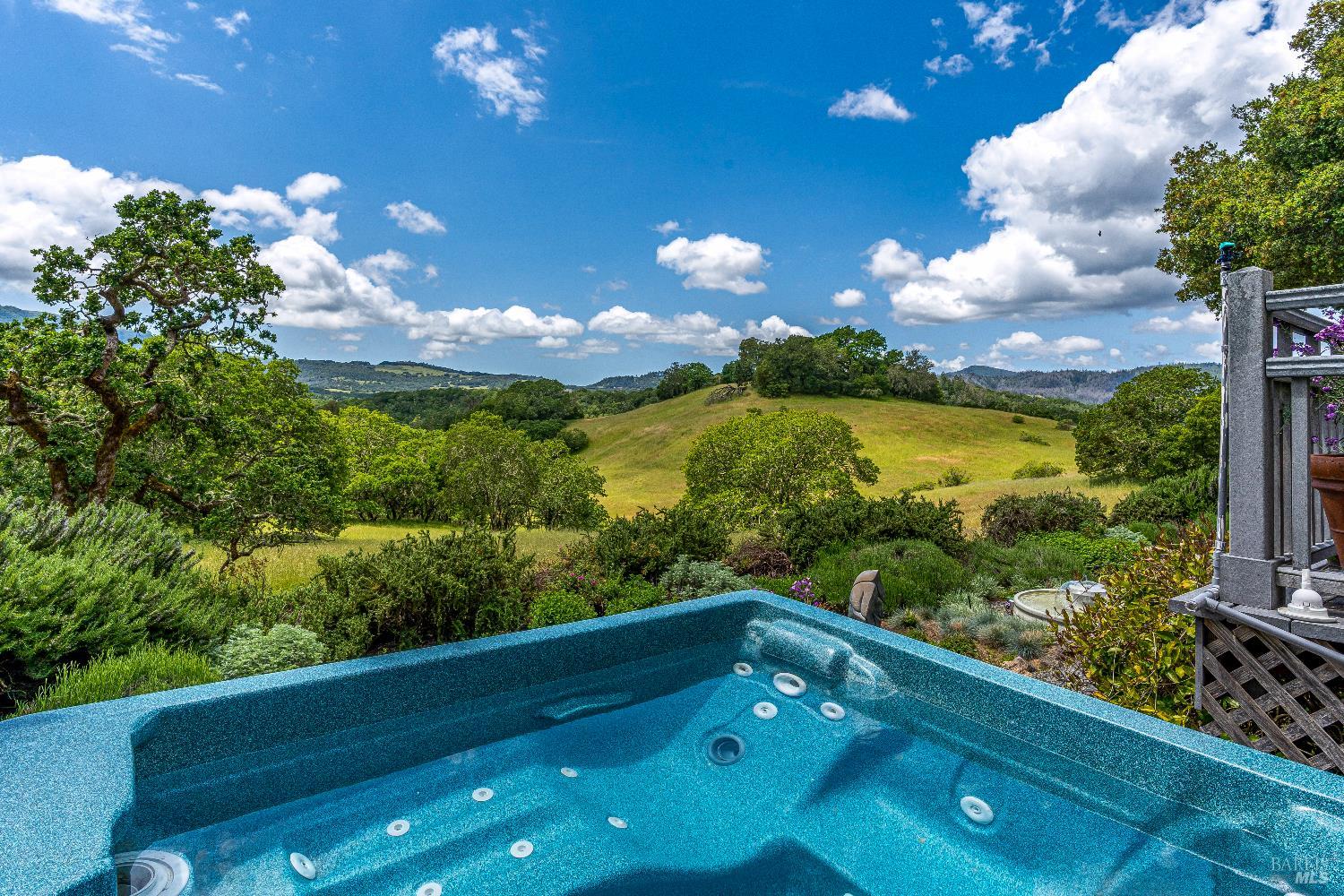 10601 Slattery Road Glen Ellen, CA 95442 - Photo 19 of 45 Spa with a view