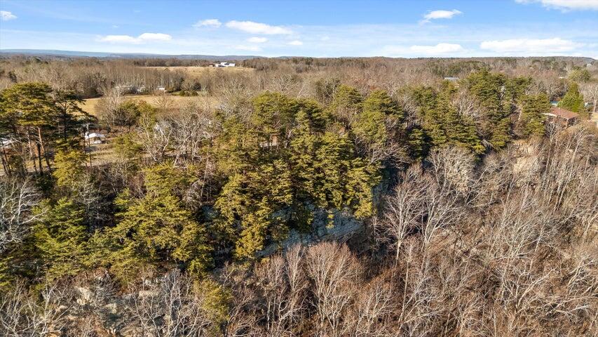 0 Brow Lots 10 11 12 Road Trenton, GA 30752 - Photo 18 of 19 20251222165350618871000000-o