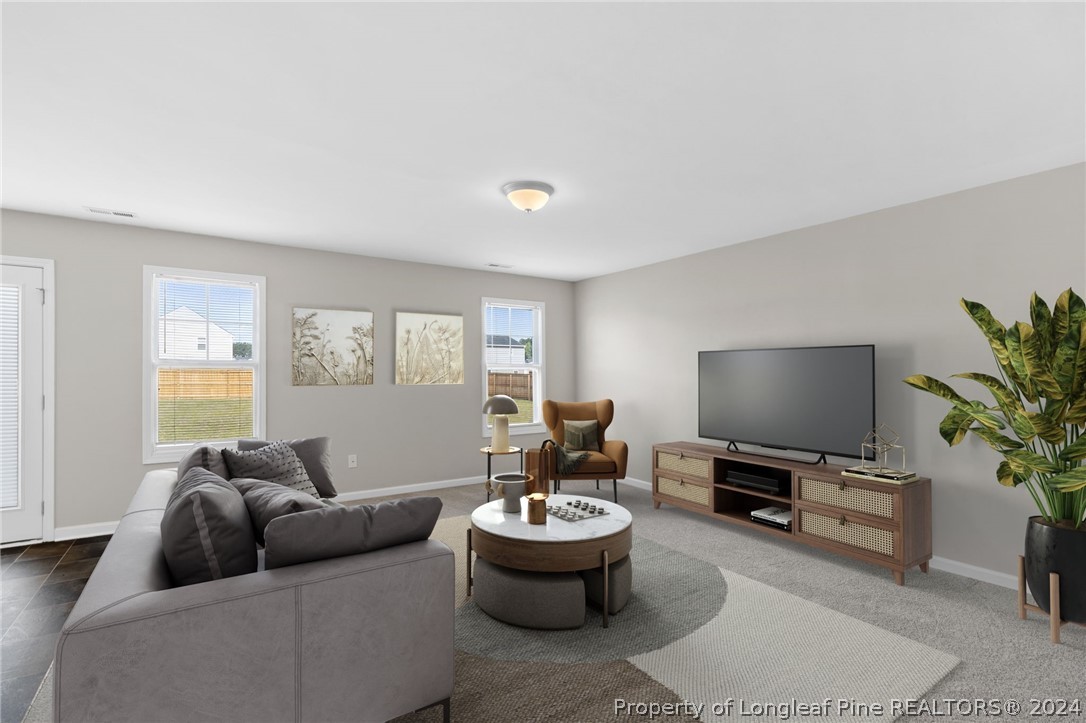 45 Killdeer Court Godwin, NC 28344 - Photo 6 of 28