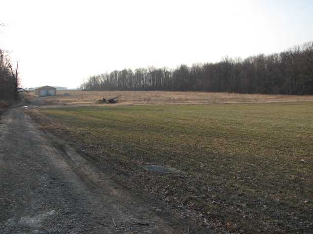 412 County Rd 24 Cardington, OH 43334 - Photo 2 of 8