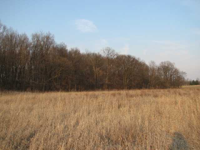 412 County Rd 24 Cardington, OH 43334 - Photo 3 of 8