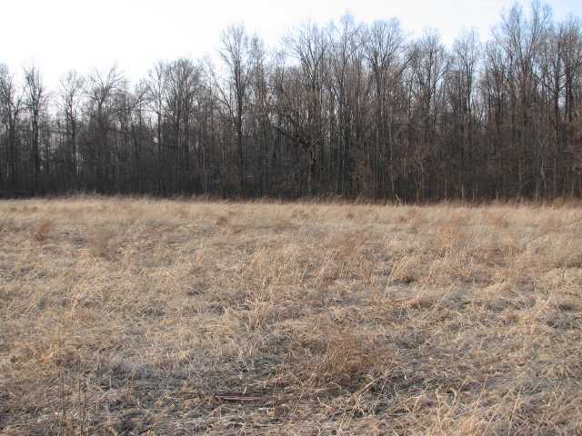 412 County Rd 24 Cardington, OH 43334 - Photo 6 of 8