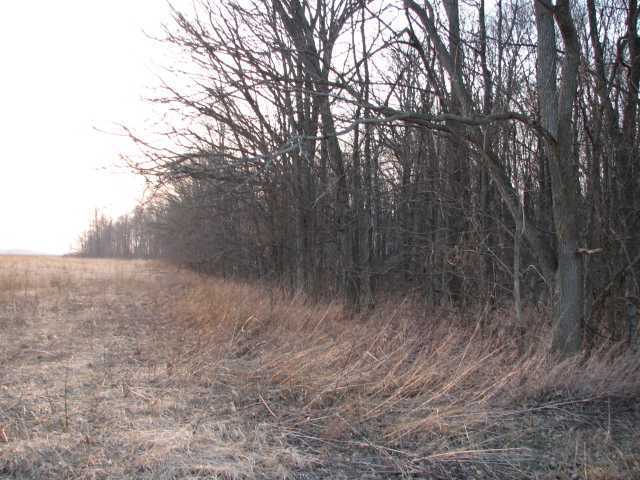 412 County Rd 24 Cardington, OH 43334 - Photo 7 of 8