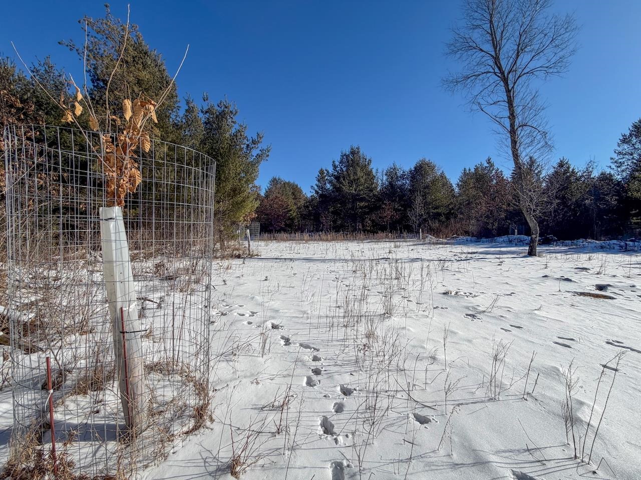 4604 Co Hwy I Sparta, WI 54656 - Photo 60 of 90