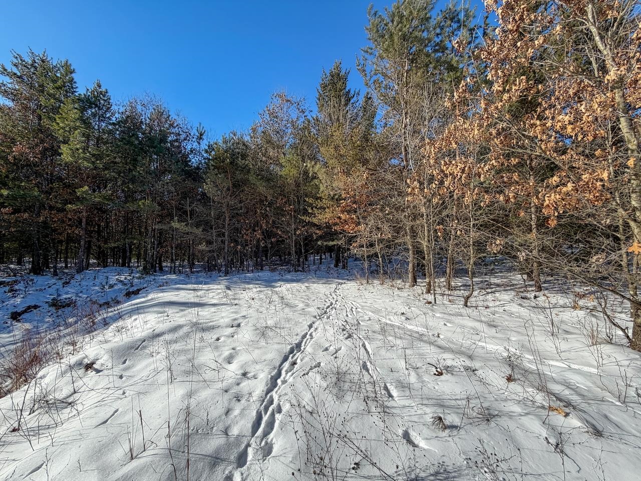 4604 Co Hwy I Sparta, WI 54656 - Photo 70 of 90