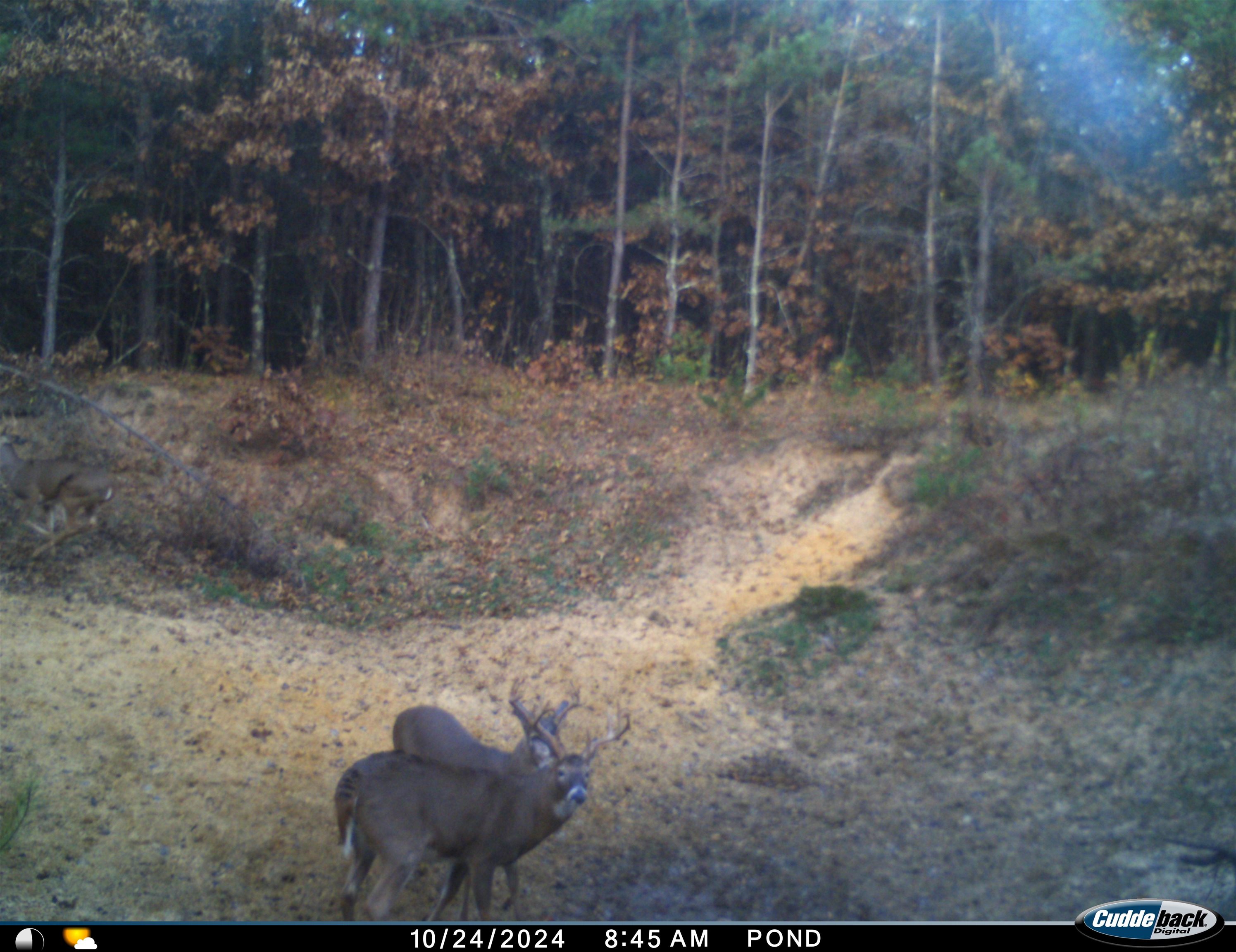 4604 Co Hwy I Sparta, WI 54656 - Photo 74 of 90