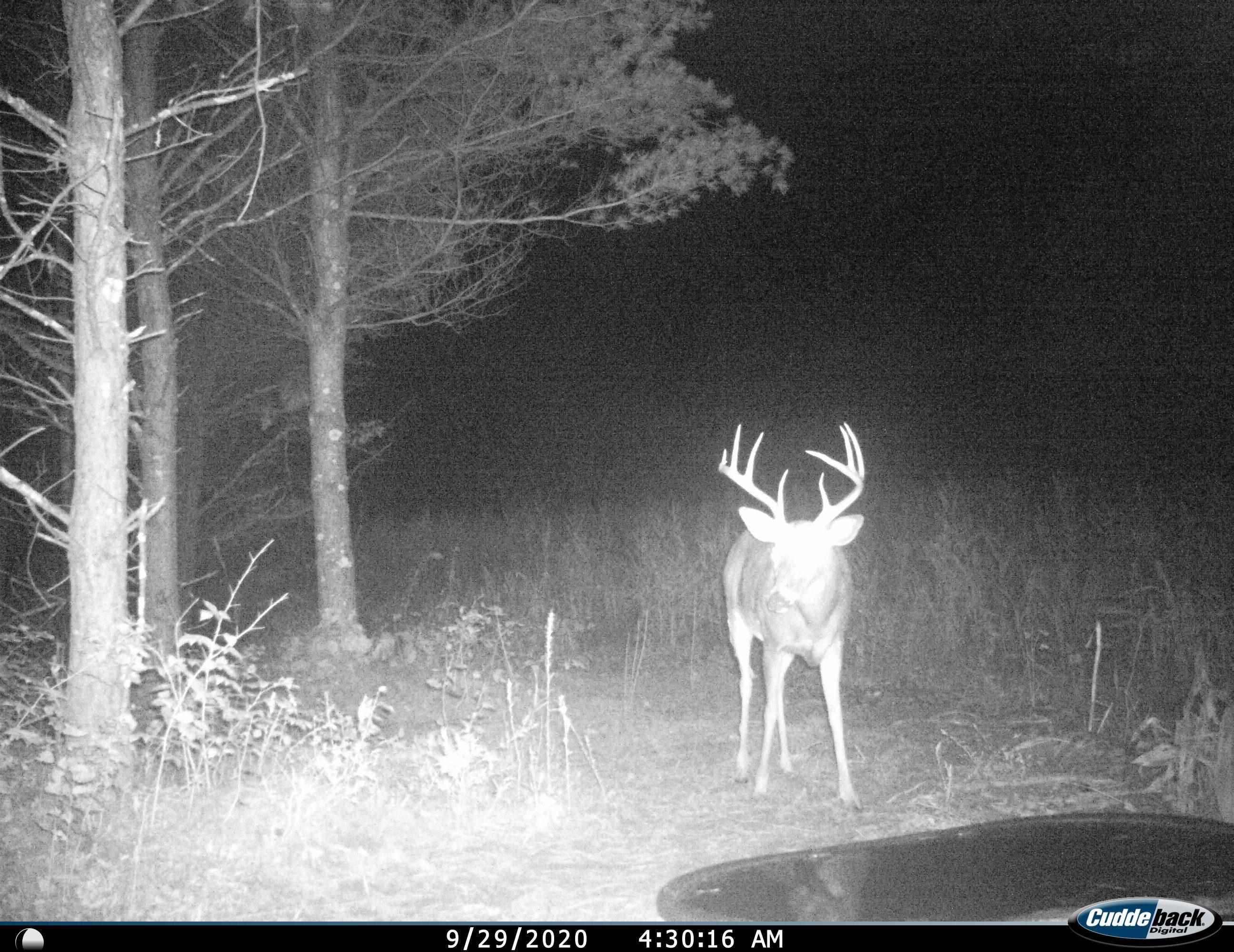 4604 Co Hwy I Sparta, WI 54656 - Photo 75 of 90