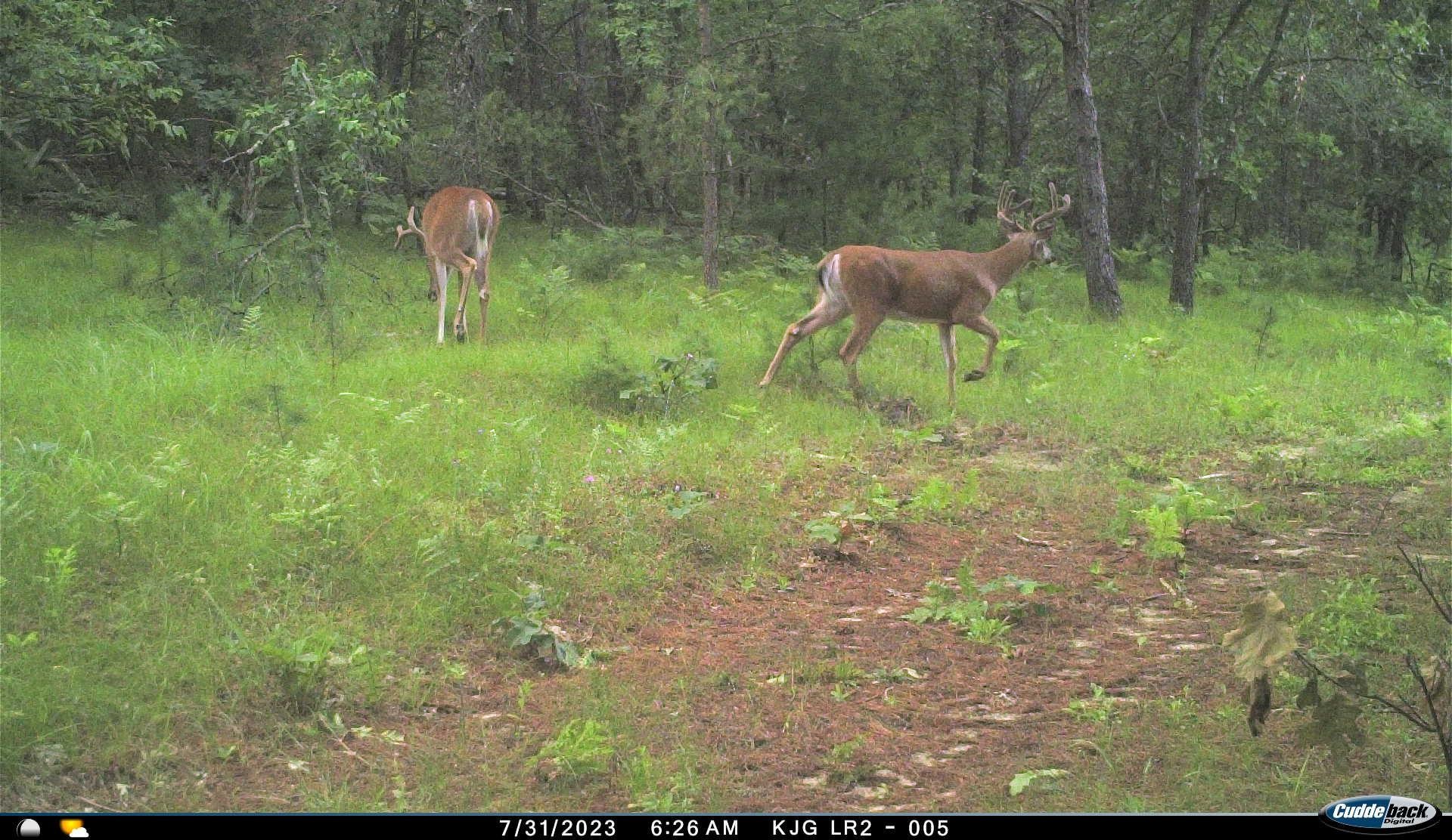 4604 Co Hwy I Sparta, WI 54656 - Photo 76 of 90