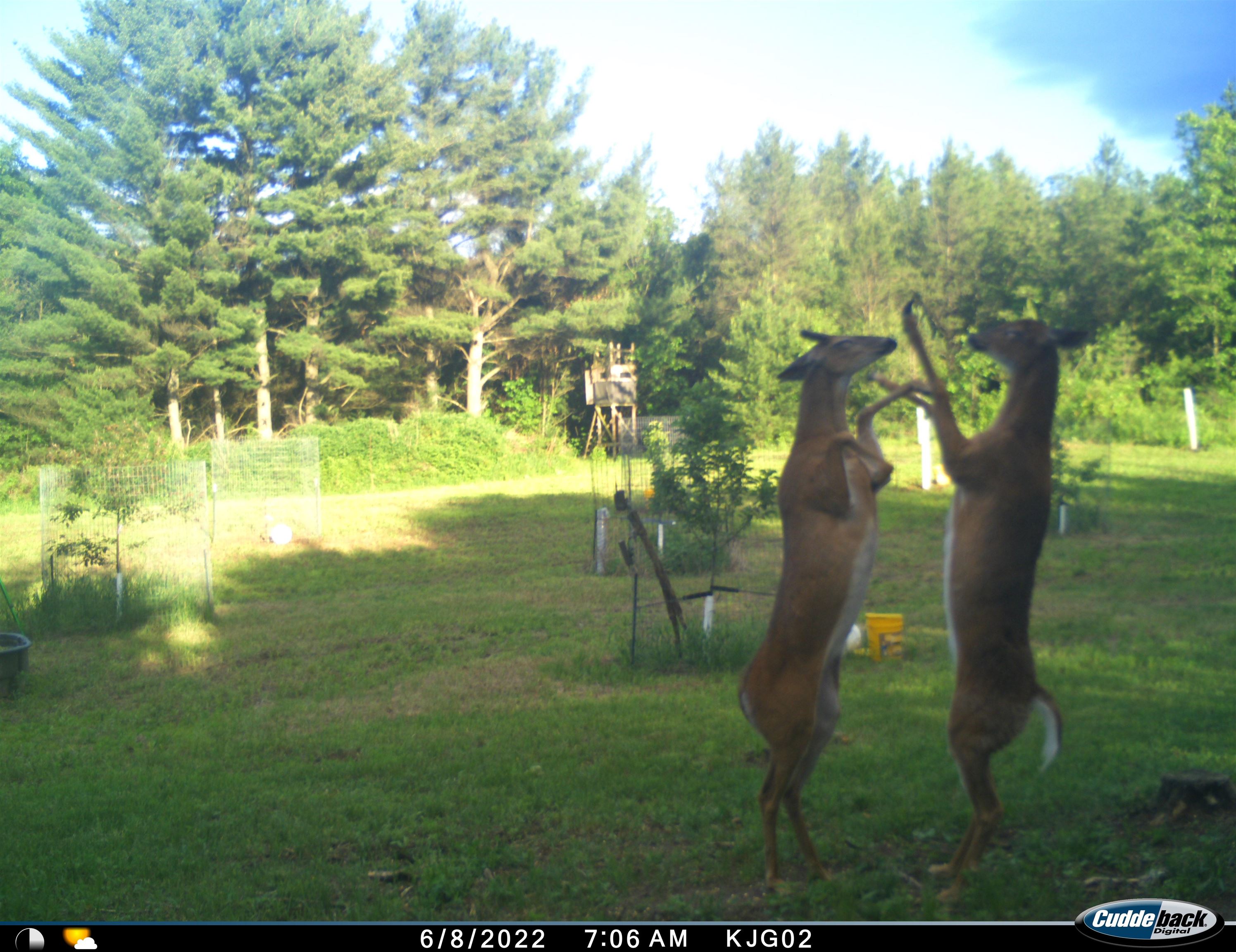 4604 Co Hwy I Sparta, WI 54656 - Photo 77 of 90