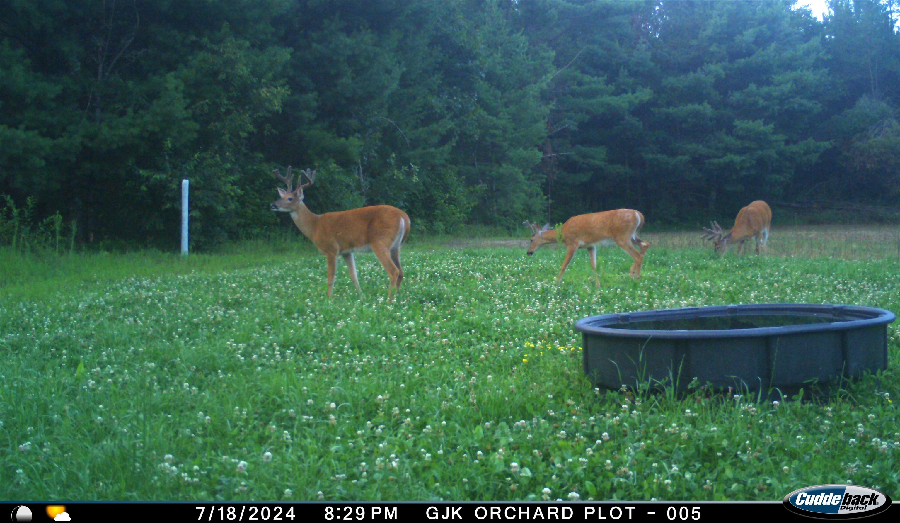 4604 Co Hwy I Sparta, WI 54656 - Photo 78 of 90