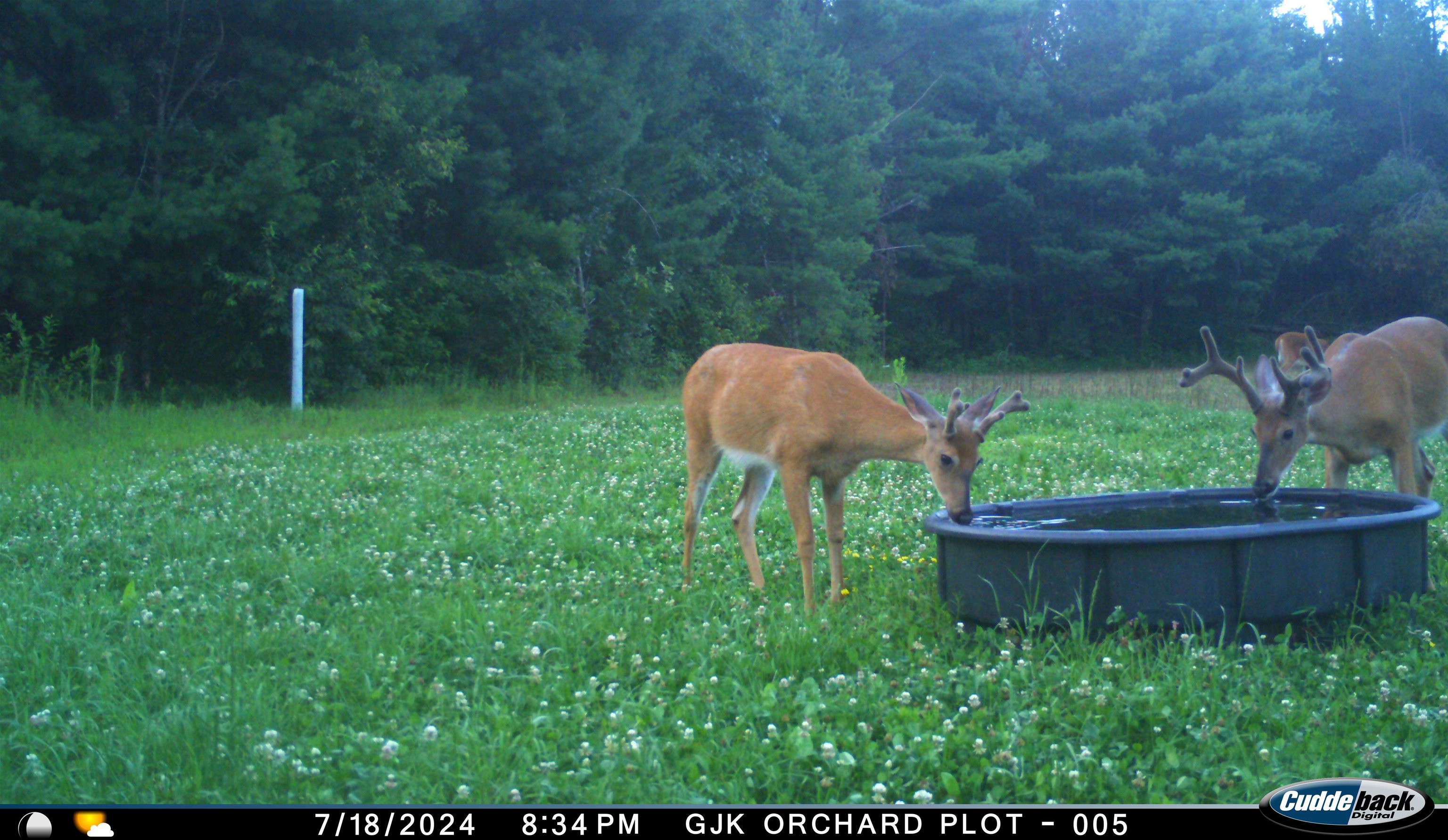 4604 Co Hwy I Sparta, WI 54656 - Photo 79 of 90