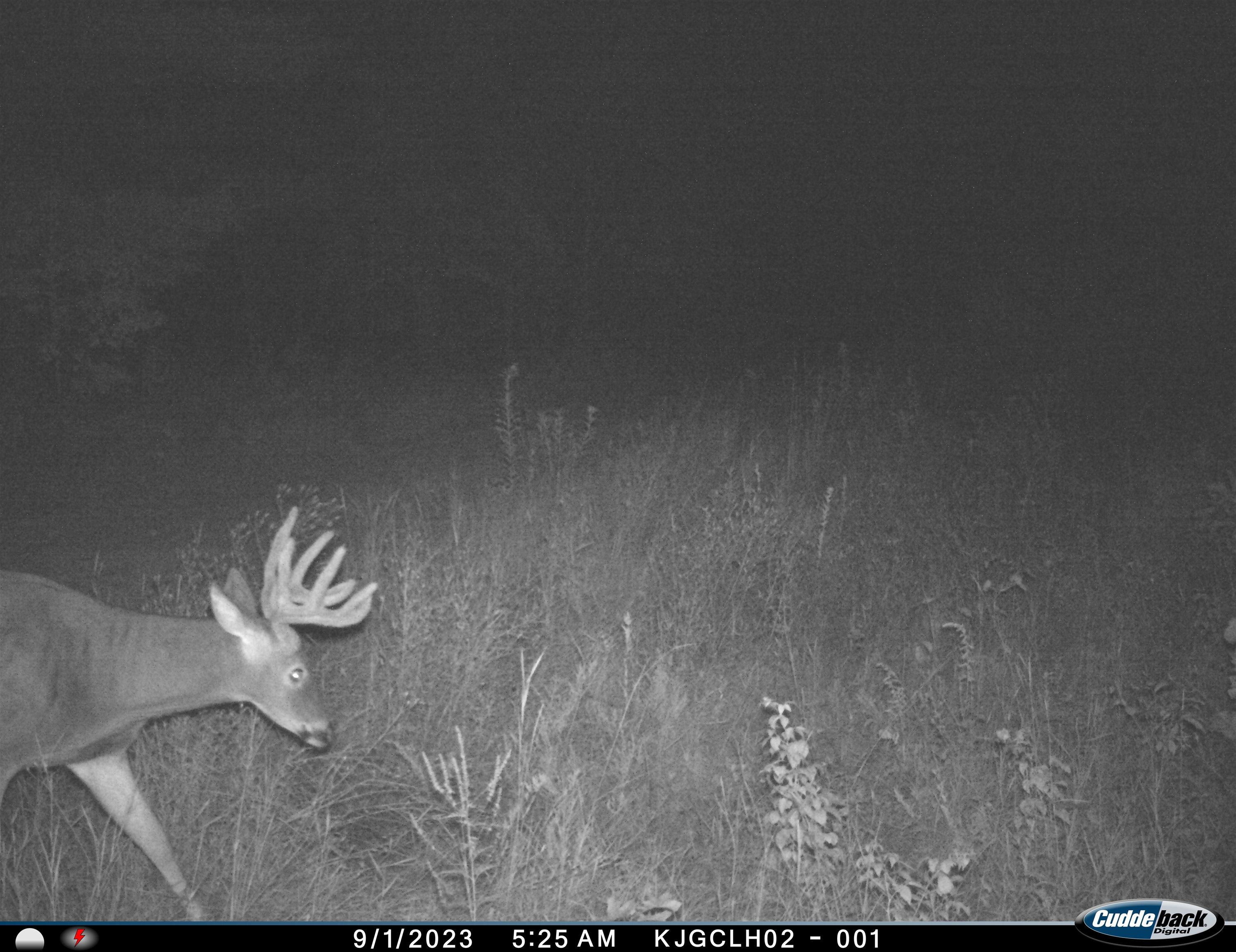 4604 Co Hwy I Sparta, WI 54656 - Photo 80 of 90