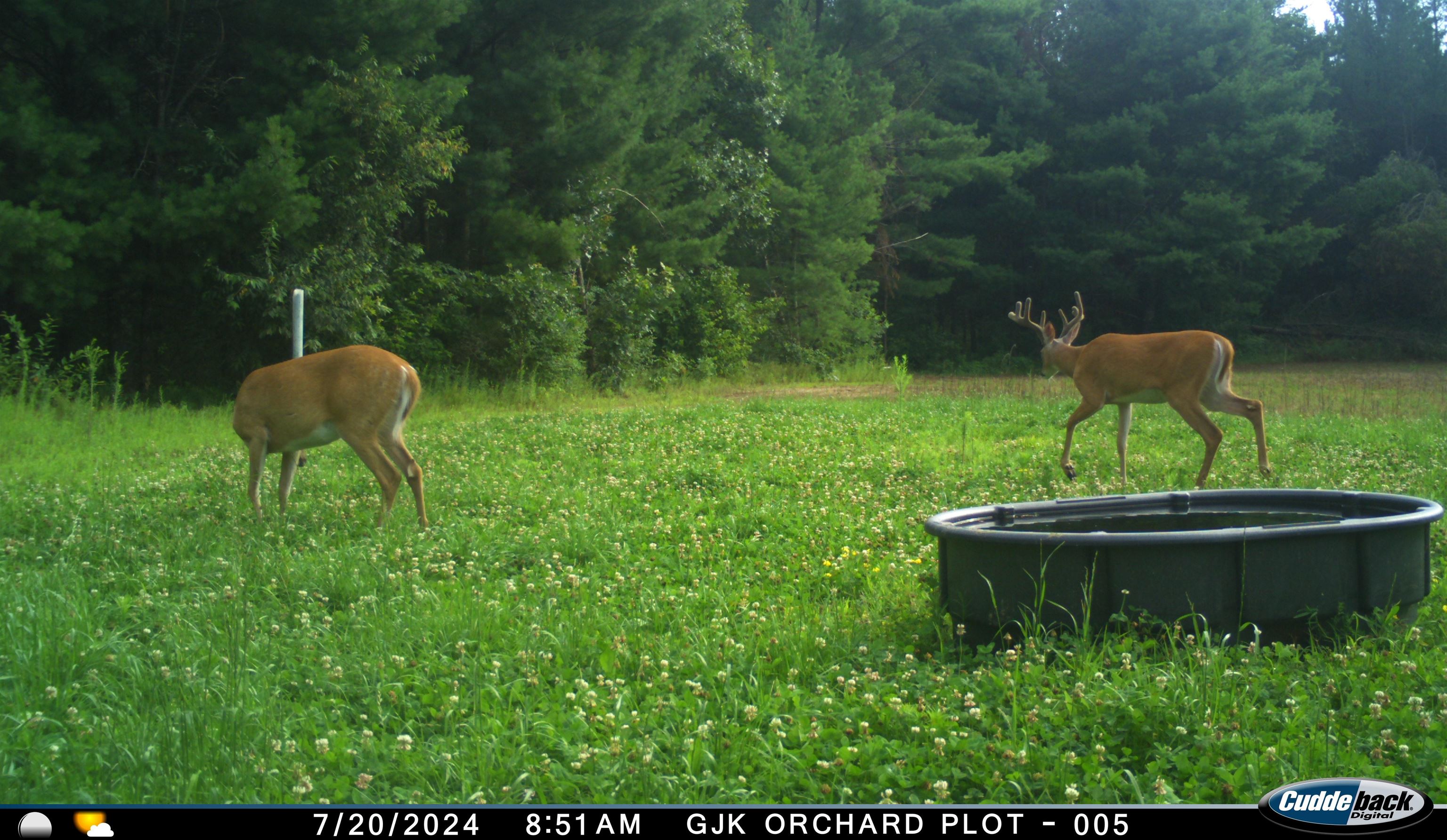 4604 Co Hwy I Sparta, WI 54656 - Photo 81 of 90