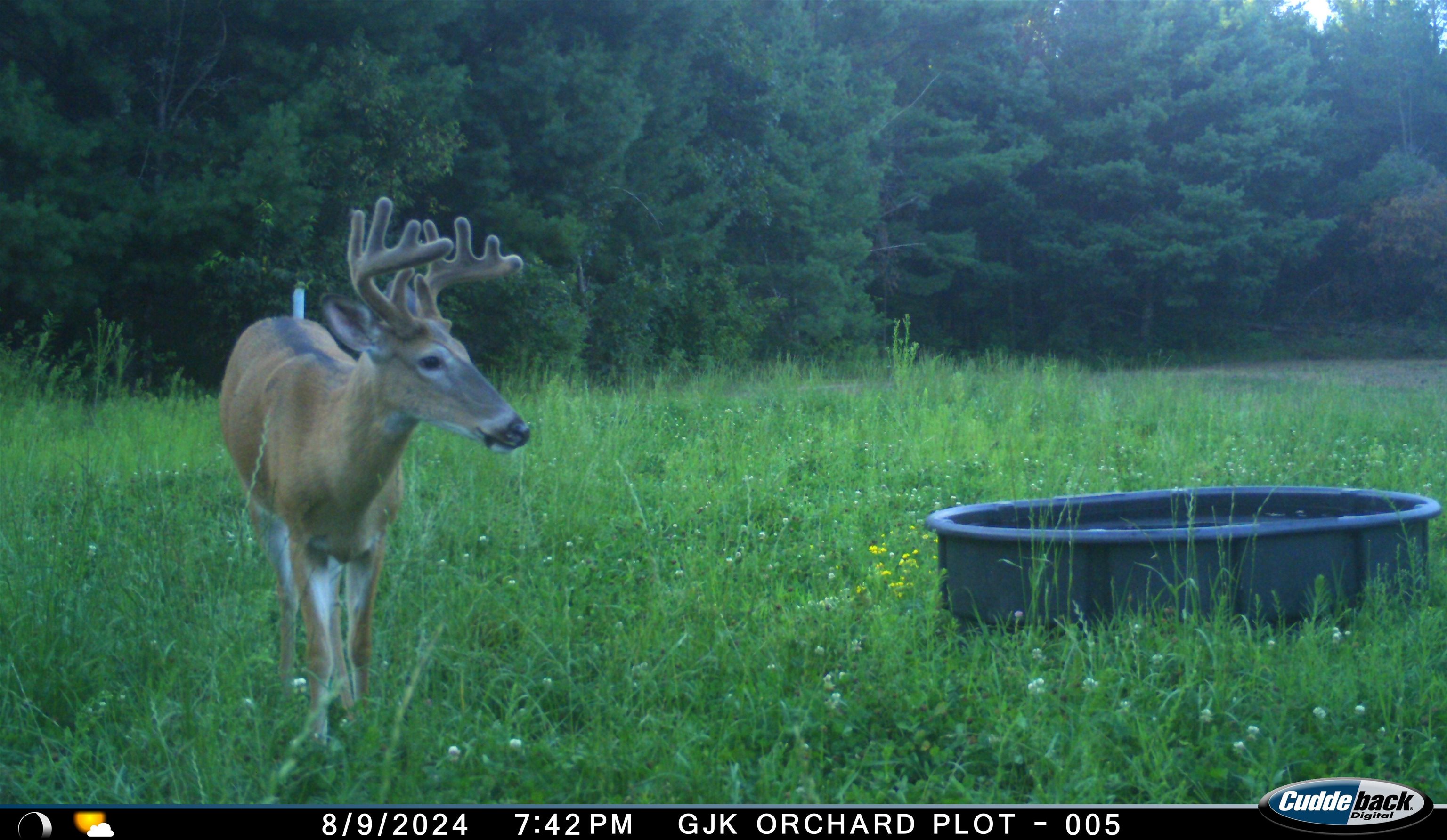 4604 Co Hwy I Sparta, WI 54656 - Photo 82 of 90