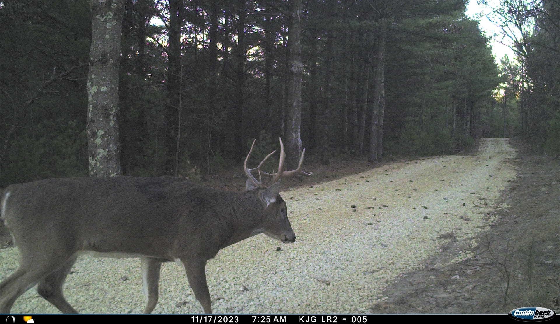 4604 Co Hwy I Sparta, WI 54656 - Photo 83 of 90