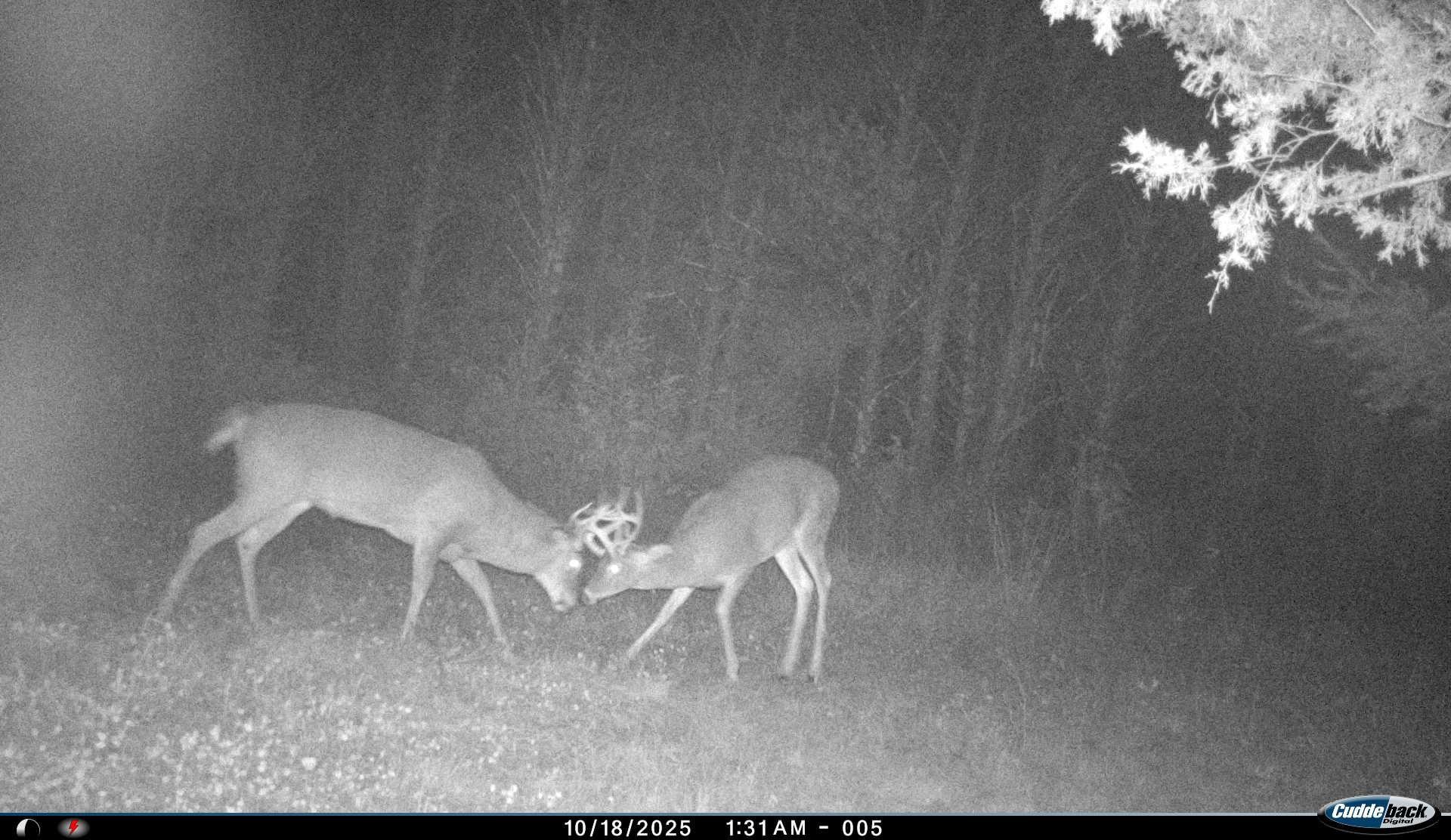 4604 Co Hwy I Sparta, WI 54656 - Photo 84 of 90