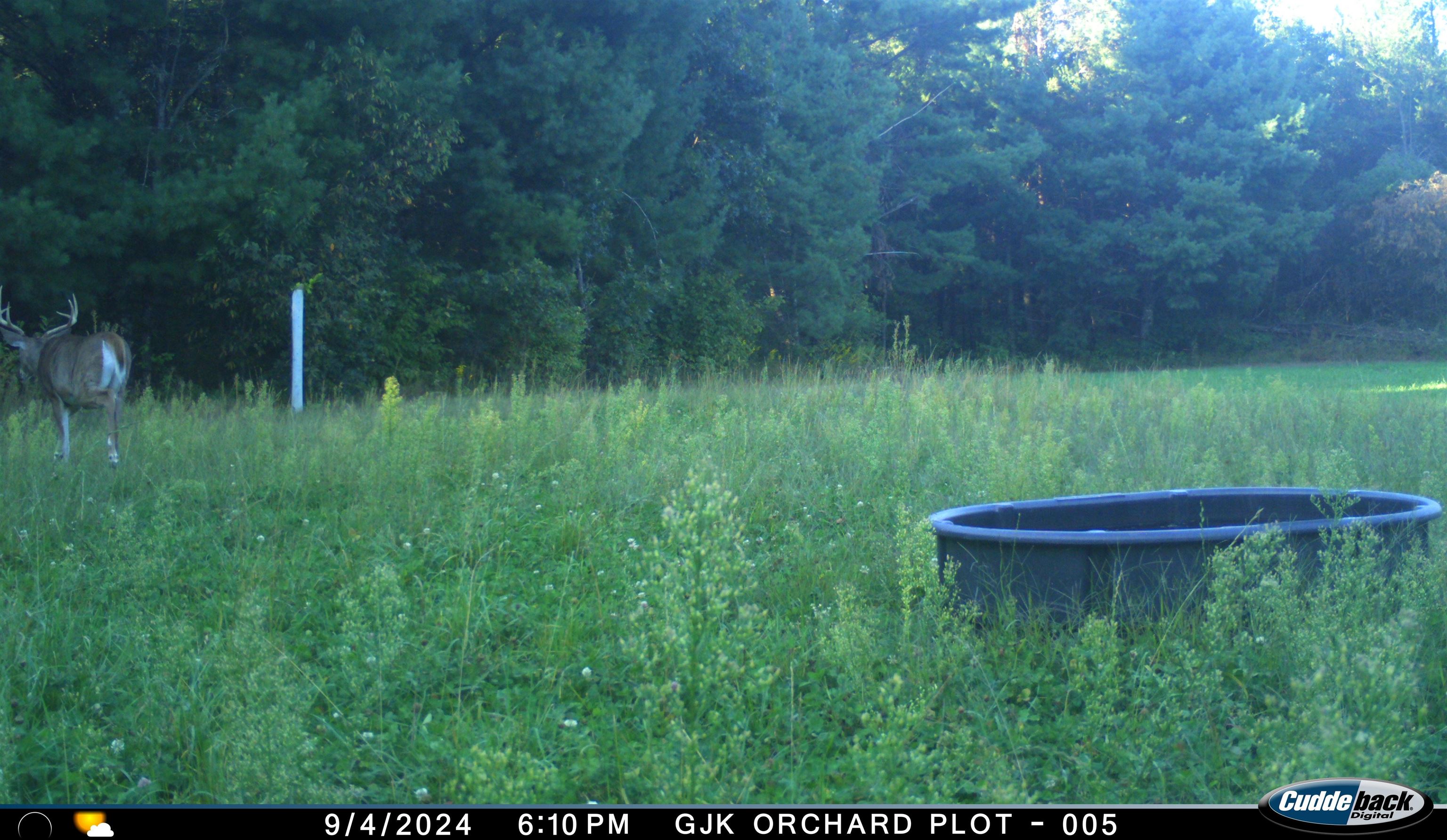 4604 Co Hwy I Sparta, WI 54656 - Photo 86 of 90