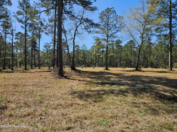 $95,000 | 32-33 Bailey Pointe Drive, Belhaven, NC 27810