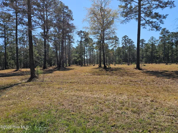 $95,000 | 32-33 Bailey Pointe Drive, Belhaven, NC 27810