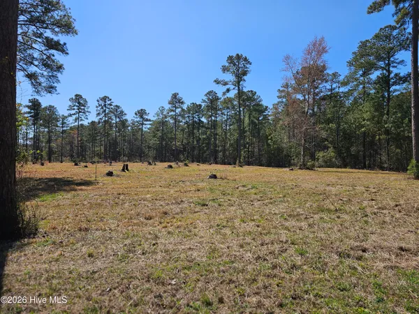 $95,000 | 32-33 Bailey Pointe Drive, Belhaven, NC 27810